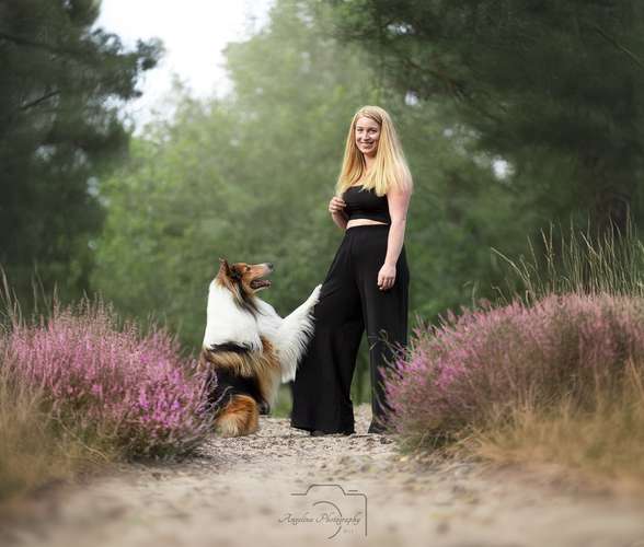 Hundeauslaufgebiet-Angelina Photography Art-Bild