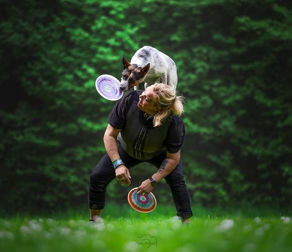 Hundeauslaufgebiet-Angelina Photography Art-Bild