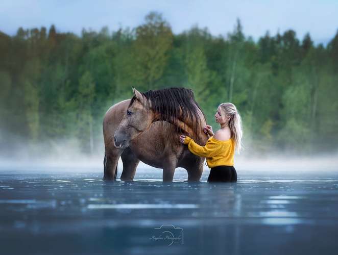 Hundeauslaufgebiet-Angelina Photography Art-Bild