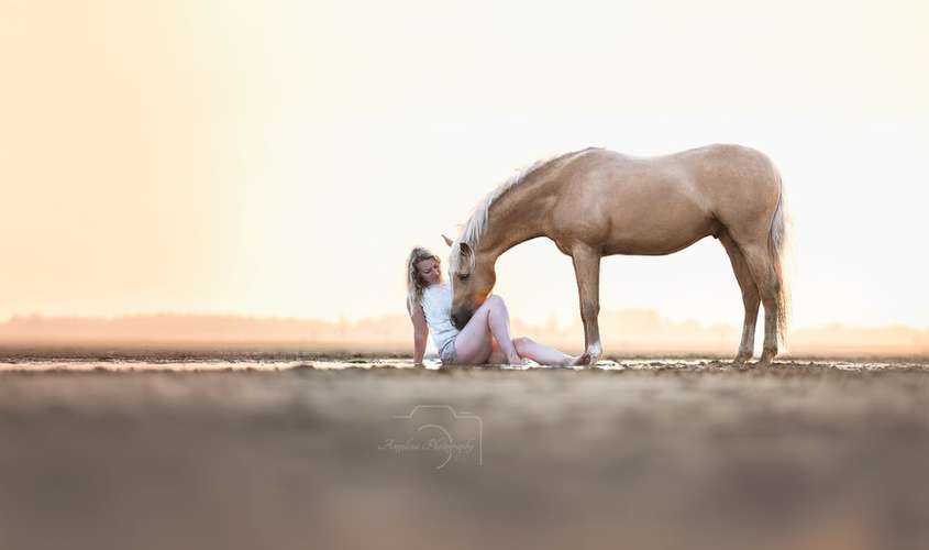 Hundeauslaufgebiet-Angelina Photography Art-Bild