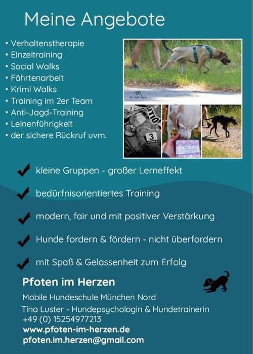 Hundeauslaufgebiet-Pfoten im Herzen - mobile Hundeschule München Nord-Bild