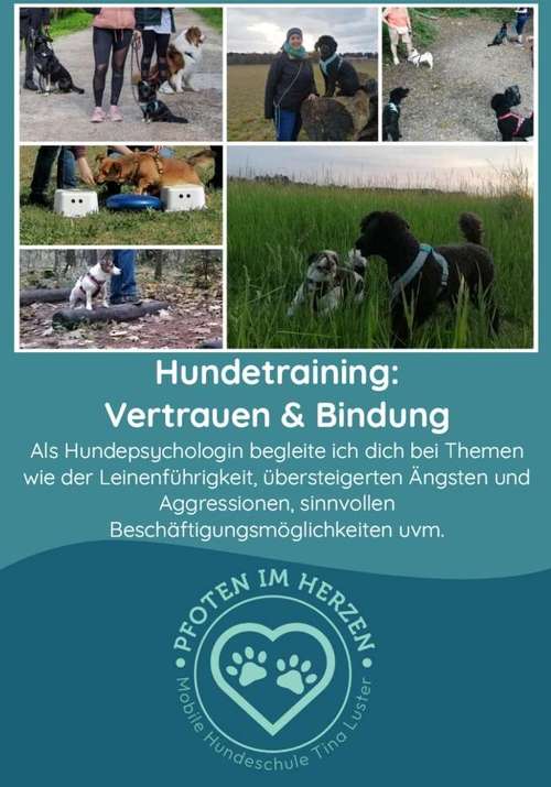 Hundeauslaufgebiet-Pfoten im Herzen - mobile Hundeschule München Nord-Bild