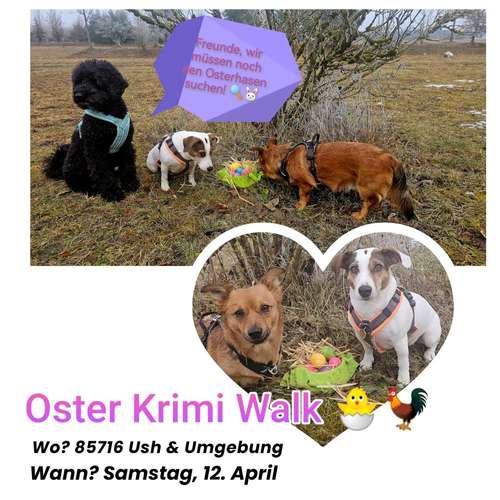 Hundeauslaufgebiet-Pfoten im Herzen - mobile Hundeschule München Nord-Bild