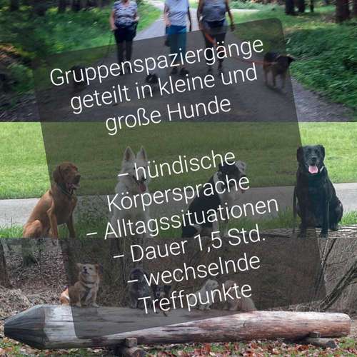 Hundeauslaufgebiet-BabsK Hundetraining-Bild