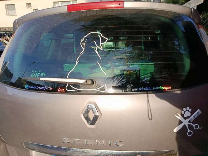 Hundeauslaufgebiet-Tierischaktiv Tiertherapie & Hundesalon-Bild