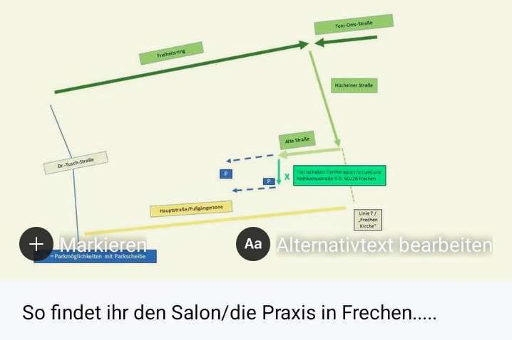 Hundeauslaufgebiet-Tierischaktiv Tiertherapie & Hundesalon-Bild