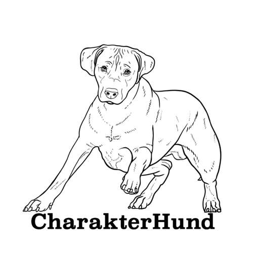Hundeauslaufgebiet-CharakterHund-Bild