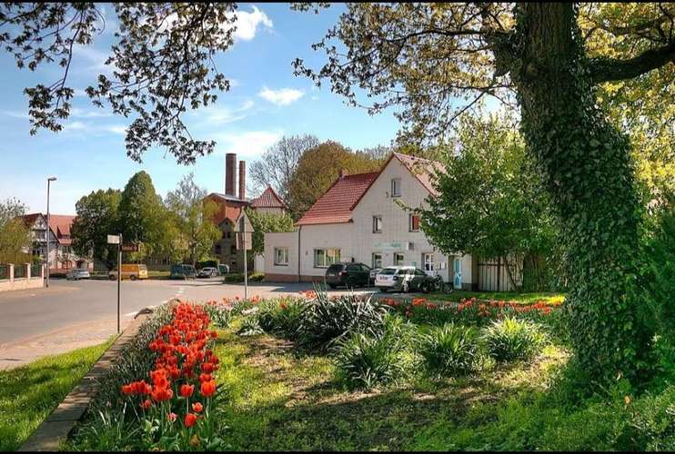 Hundeauslaufgebiet-Tierarztpraxis Günzke-Bild