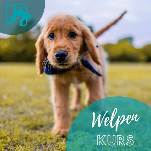 Hundeauslaufgebiet-Für alle Felle-Bild