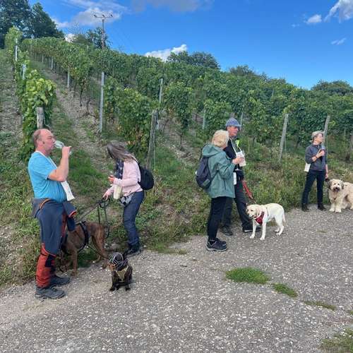 Hundeauslaufgebiet-Hundeschule Maureen‘s Dogs-Bild