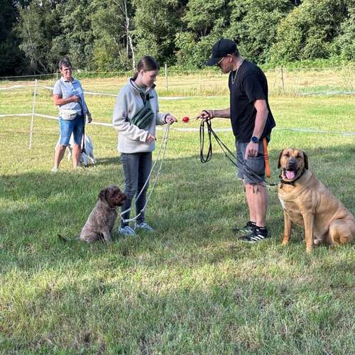 Hundeauslaufgebiet-Hundeschule Maureen‘s Dogs-Bild
