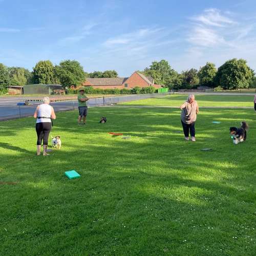 Hundeauslaufgebiet-Hundeschule Maureen‘s Dogs-Bild