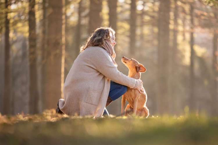 Hundeauslaufgebiet-Cornelia Brickum Hundefotografie-Bild