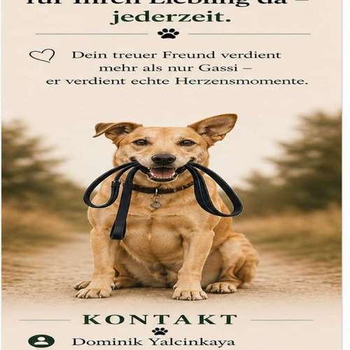 Hundeauslaufgebiet-D.Y. Dogwalker-Bild