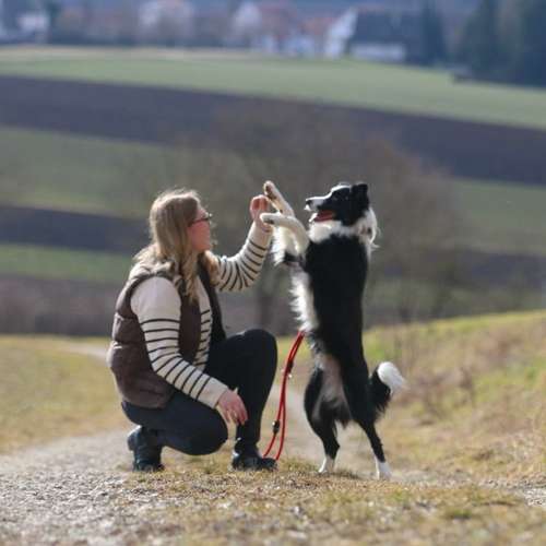 Hundeauslaufgebiet-Tierheilpraxis Seitz-Bild