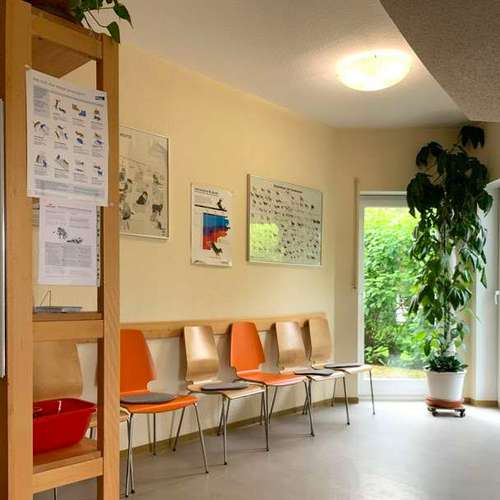 Hundeauslaufgebiet-Tierarztpraxis Taday-Bild