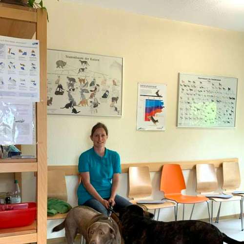 Hundeauslaufgebiet-Tierarztpraxis Taday-Bild