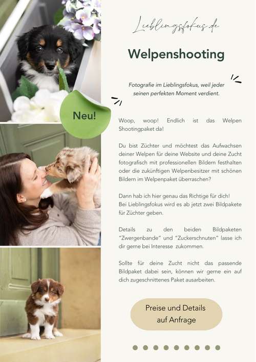 Hundeauslaufgebiet-Lieblingsfokus.de-Bild
