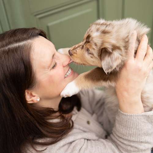 Hundeauslaufgebiet-Lieblingsfokus.de-Bild