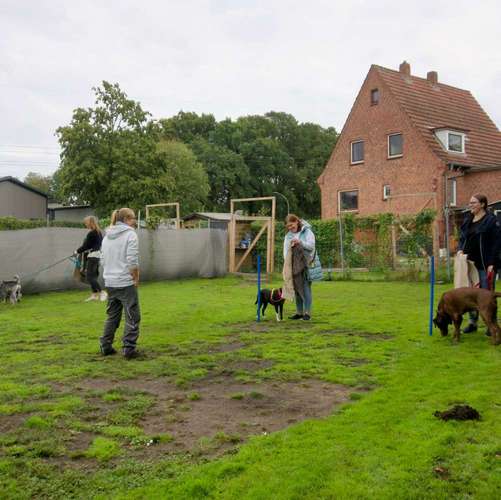 Hundeauslaufgebiet-Die ElbNasen - Miriam Herrmann-Bild