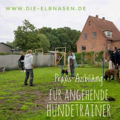 Hundeauslaufgebiet-Die ElbNasen - Miriam Herrmann-Bild