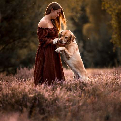Hundeauslaufgebiet-Linda Heckel-Bild