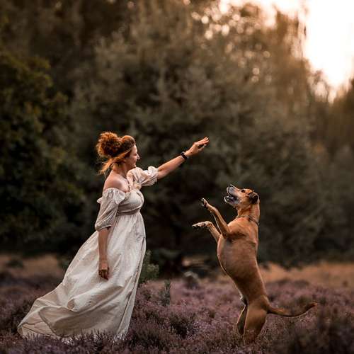 Hundeauslaufgebiet-Linda Heckel-Bild