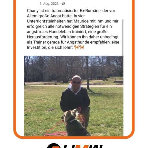 Hundeauslaufgebiet-Hundetrainer Maurice Werner-Bild
