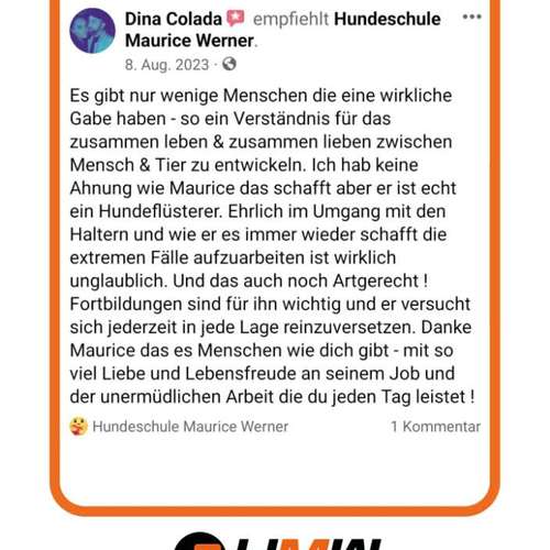 Hundeauslaufgebiet-Hundetrainer Maurice Werner-Bild