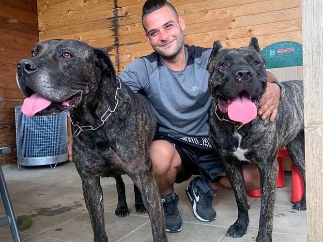 Hundeauslaufgebiet-Alaska Hundebetreuung-Bild