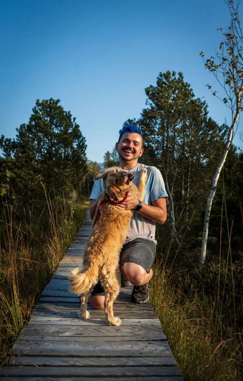 Hundeauslaufgebiet-Hundeschule Hundemax-Bild