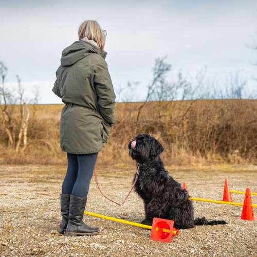 Hundeauslaufgebiet-Max‘ Hundeschule-Bild