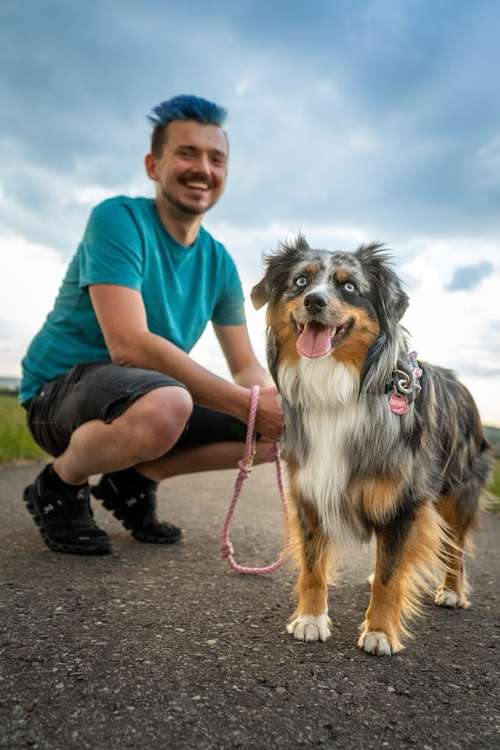 Hundeauslaufgebiet-Hundeschule Hundemax-Bild