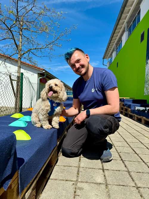 Hundeauslaufgebiet-Hundeschule Hundemax-Bild