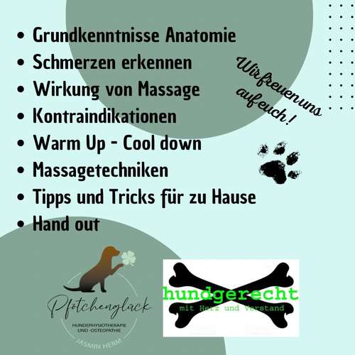Hundeauslaufgebiet-Pfötchenglück Hundephysio und Osteopathie-Bild