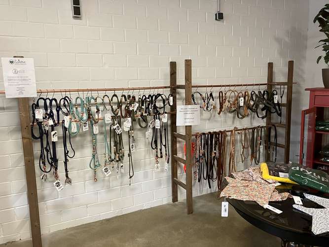 Hundeauslaufgebiet-B.A.R.F.-Shop Bad Laer-Bild