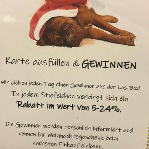 Hundeauslaufgebiet-B.A.R.F.-Shop Bad Laer-Bild