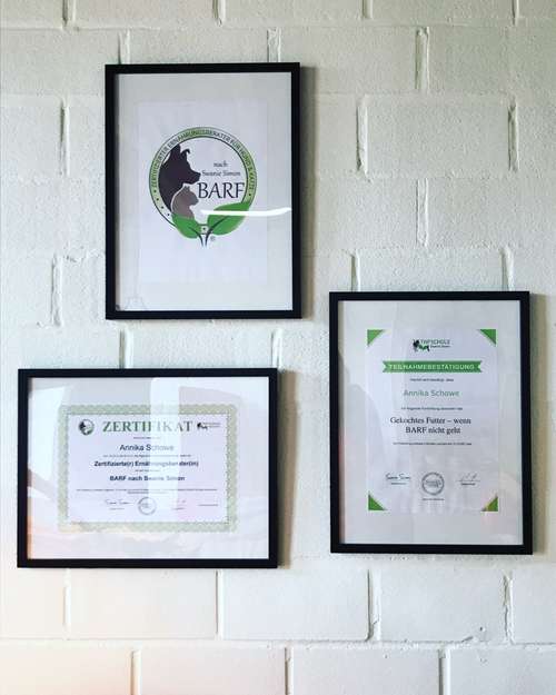 Hundeauslaufgebiet-B.A.R.F.-Shop Bad Laer-Bild