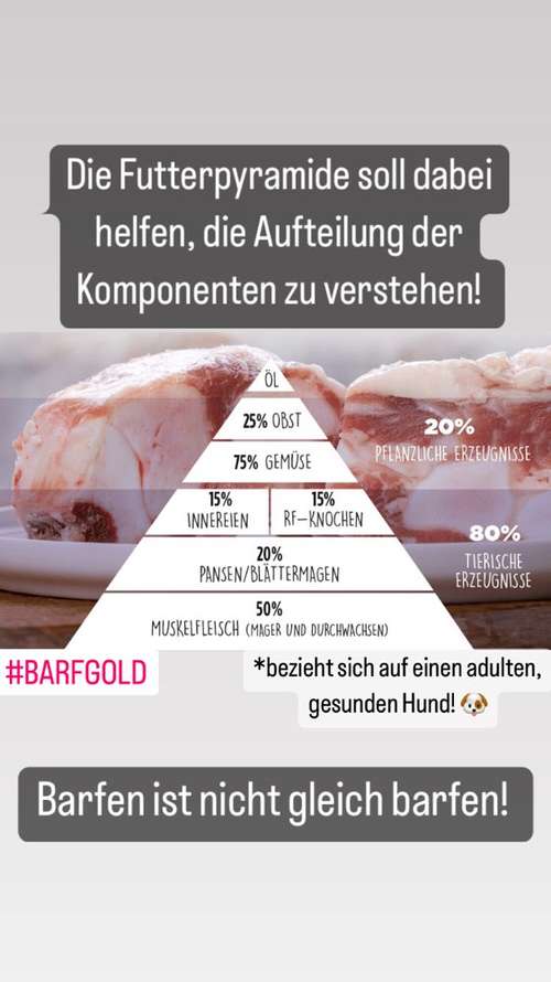 Hundeauslaufgebiet-B.A.R.F.-Shop Bad Laer-Bild