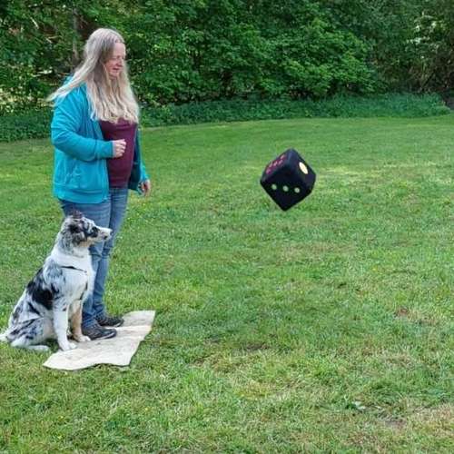 Hundeauslaufgebiet-Hundeschule CD Traumhund-Bild