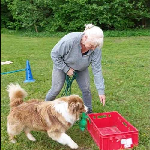 Hundeauslaufgebiet-Hundeschule CD Traumhund-Bild