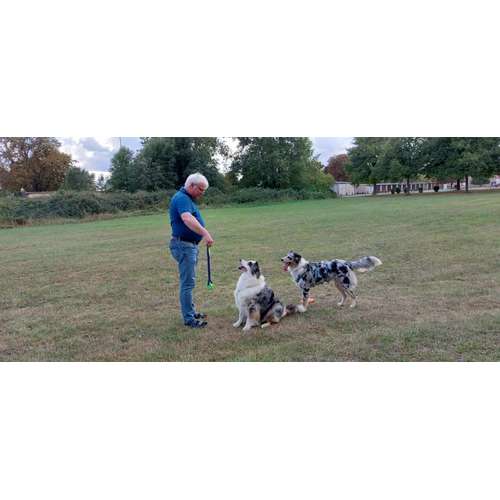 Hundeauslaufgebiet-Hundeschule CD Traumhund-Bild