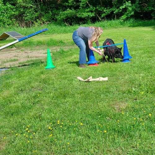 Hundeauslaufgebiet-Hundeschule CD Traumhund-Bild