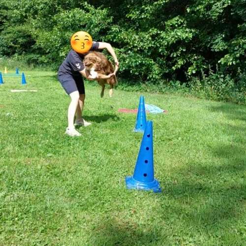 Hundeauslaufgebiet-Hundeschule CD Traumhund-Bild