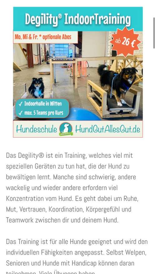 Hundeauslaufgebiet-HundGutAllesGut.de - mobile Hundeschule & Indoorhalle-Bild