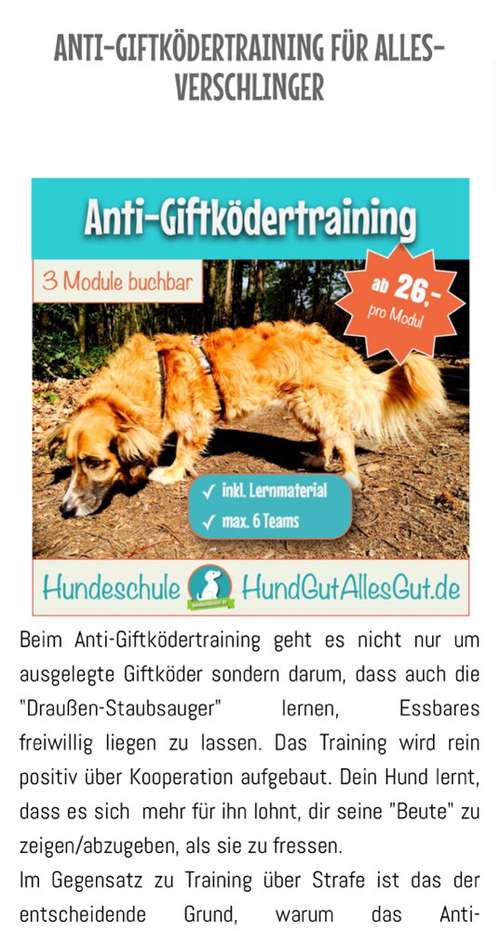 Hundeauslaufgebiet-HundGutAllesGut.de - mobile Hundeschule & Indoorhalle-Bild