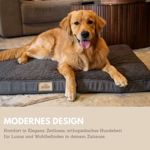 Hundeauslaufgebiet-DOGHOUSE PREMIUM-Bild