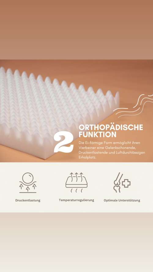 Hundeauslaufgebiet-DOGHOUSE PREMIUM-Bild