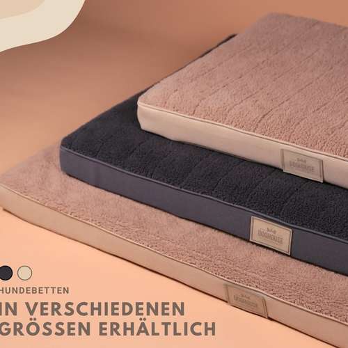 Hundeauslaufgebiet-DOGHOUSE PREMIUM-Bild