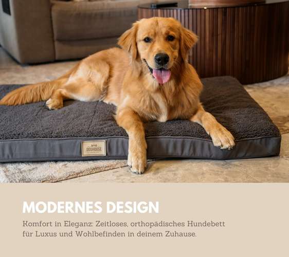 Hundeauslaufgebiet-DOGHOUSE PREMIUM-Bild